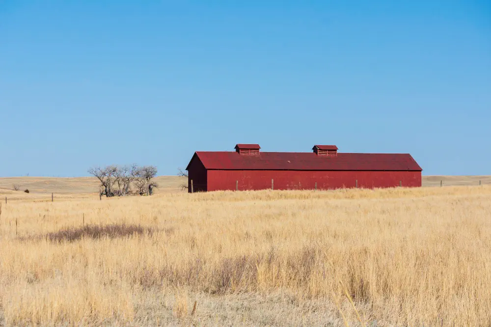 Craig Auction & Sales Team